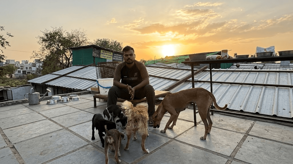 Dog shelter at Dakash